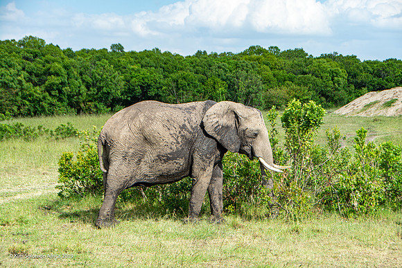 KS2019-AfriciaTrip-100-983