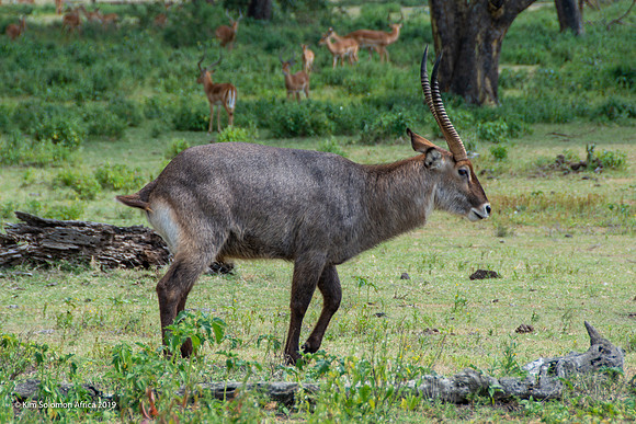 KS2019-AfriciaTrip-100-1788
