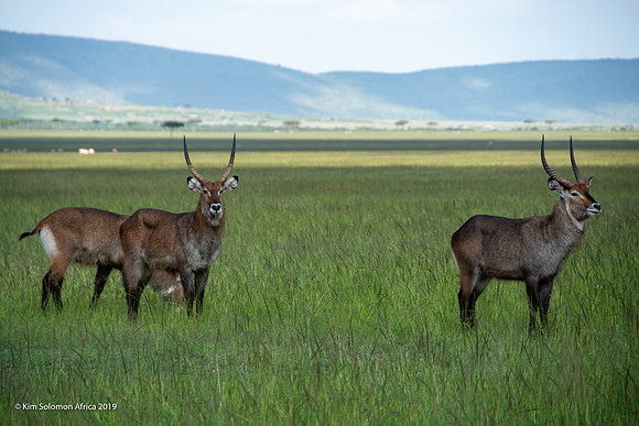 KS2019-AfriciaTrip-100-410