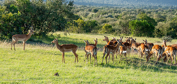 KS2019-AfriciaTrip-100-772