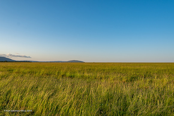 KS2019-AfriciaTrip-100-714