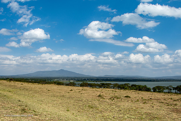 KS2019-AfriciaTrip-100-1883