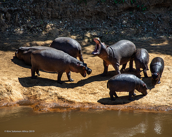KS2019-AfriciaTrip-100-878