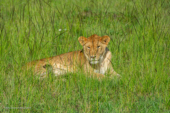KS2019-AfriciaTrip-100-449