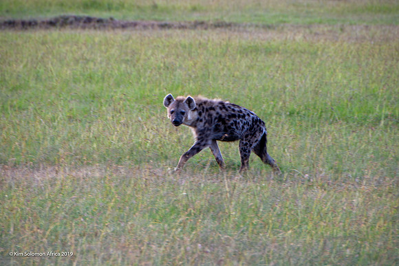 KS2019-AfriciaTrip-100-1316