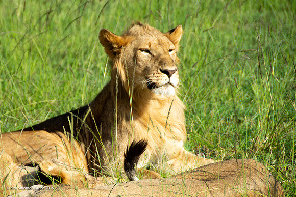 KS2019-AfriciaTrip-100-464