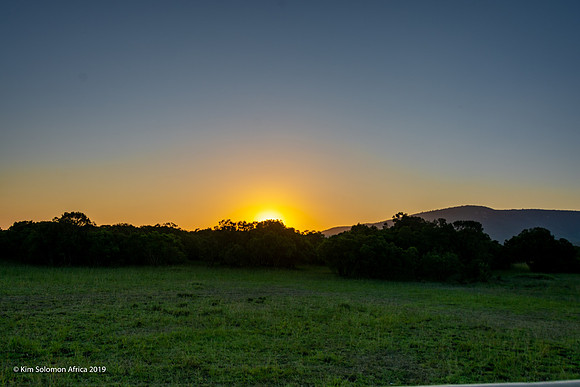 KS2019-AfriciaTrip-100-706