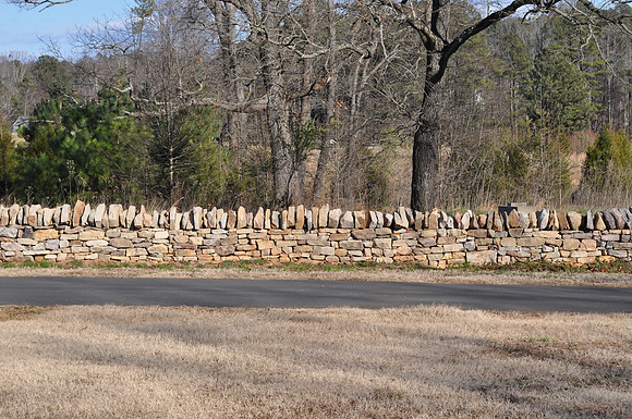 DSC_0019