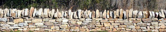 DSC_0019-1